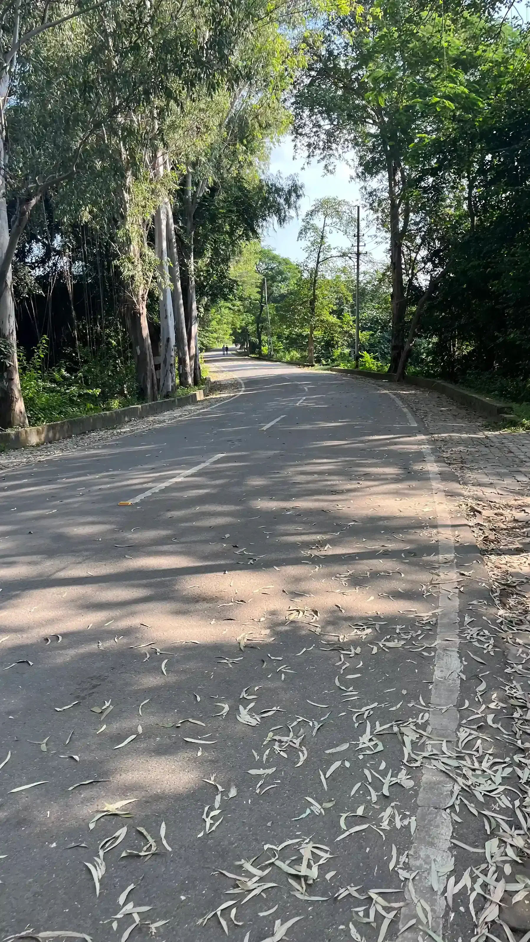 KNIT Sultanpur Academic Building photo 7